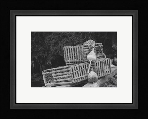 Framed Trapped Print