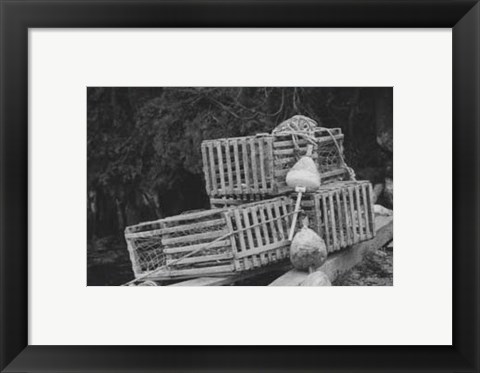 Framed Trapped Print