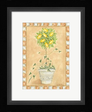 Framed Tuscan Fruit II Print