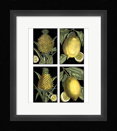 Framed Miniature Fruit Print