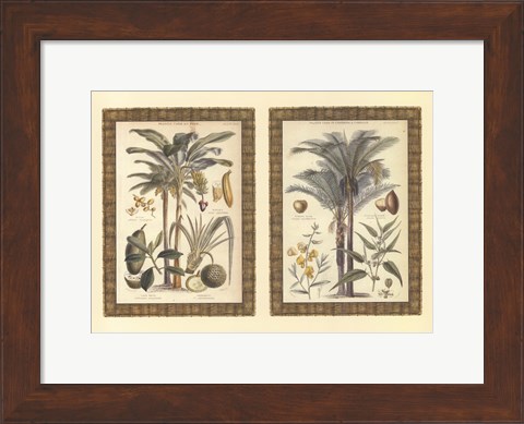 Framed Mini Palms in Rattan Print