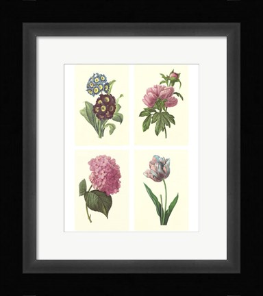 Framed Mini Boudoin Florals Print