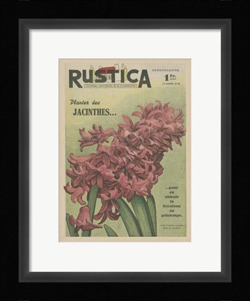 Framed Plantez Des Jacinthes Print