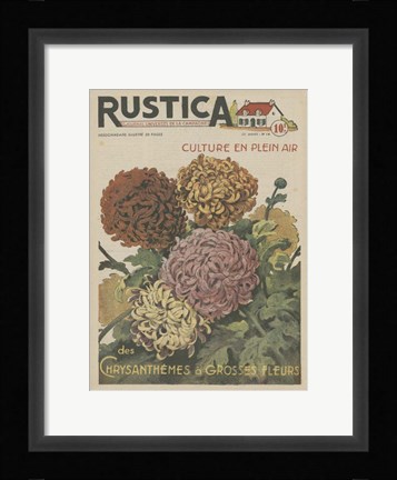 Framed Plantez Des Chrysanthemes Print