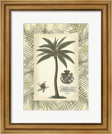 Framed Palm in Bamboo Frame I Print