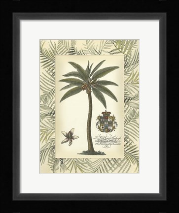 Framed Palm in Bamboo Frame I Print