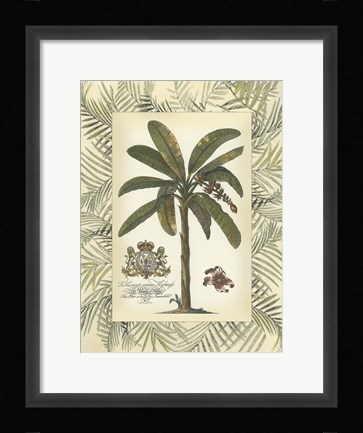 Framed Palm in Bamboo Frame II Print