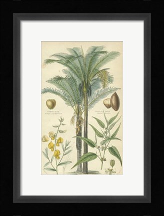 Framed Palms in Bamboo I Print