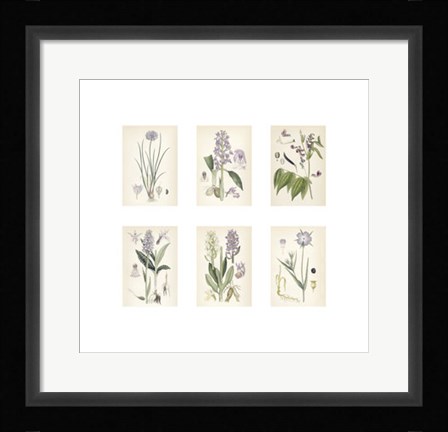 Framed Purple Botanicals Print