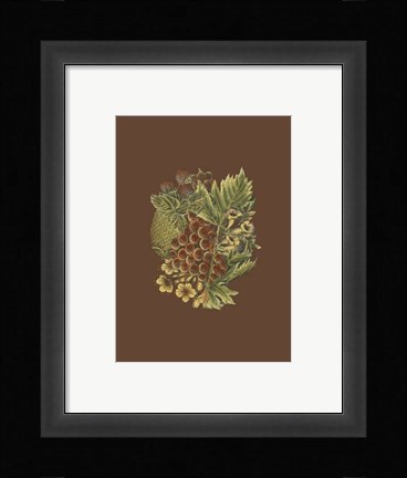 Framed Fruit on Burgundy I Print