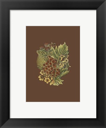Framed Fruit on Burgundy I Print