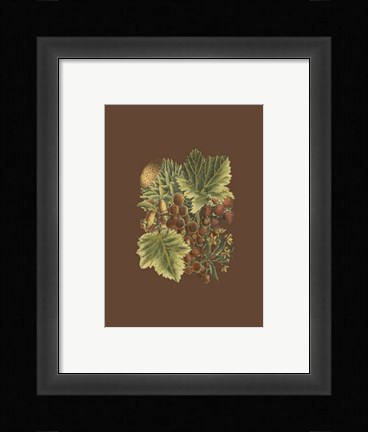 Framed Fruit on Burgundy II Print