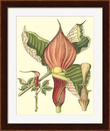 Framed Botanical Fantasy I Print