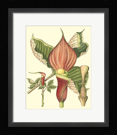 Framed Botanical Fantasy I Print