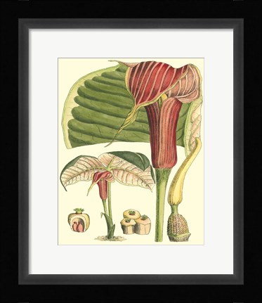 Framed Botanical Fantasy II Print