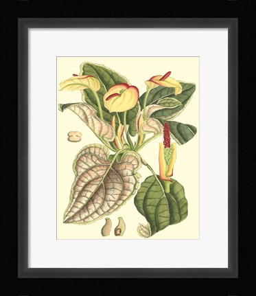 Framed Botanical Fantasy III Print