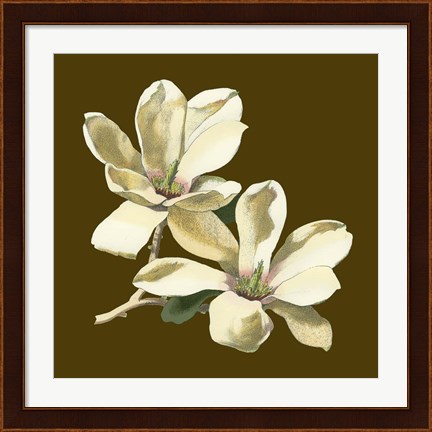 Framed Magnolia on Taupe II Print