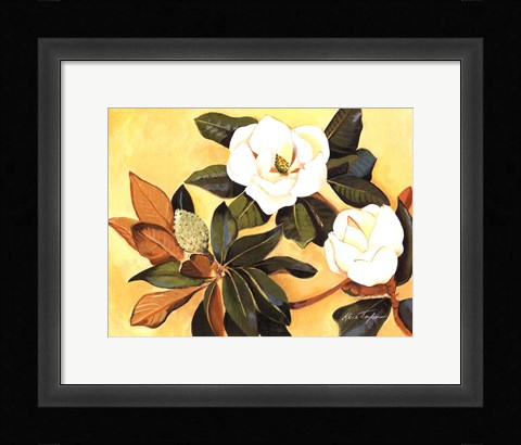 Framed Southern Magnolia I Print