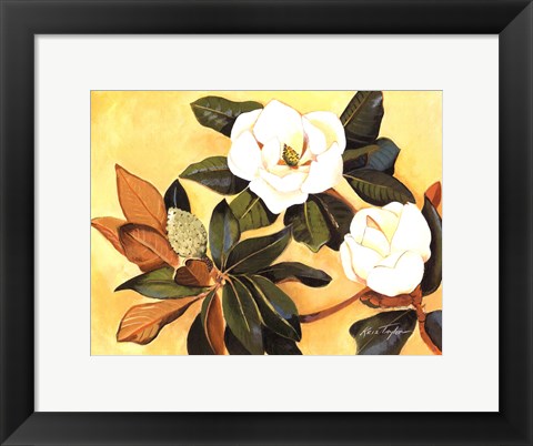 Framed Southern Magnolia I Print