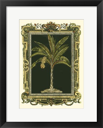 Framed Decorative Framed Palm I Print