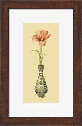 Framed Tulip in Vase II Print