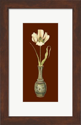 Framed Tulip in Vase III Print