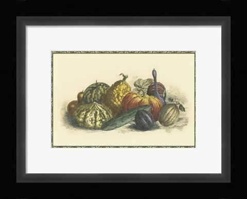 Framed Melons and Gourds Print