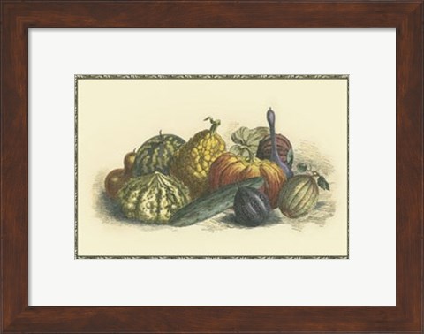 Framed Melons and Gourds Print