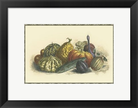 Framed Melons and Gourds Print