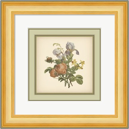Framed Tuscany Bouquet (P) IV Print