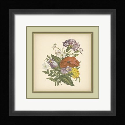 Framed Tuscany Bouquet (P) XI Print