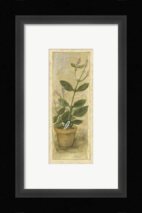 Framed Peppermint Print