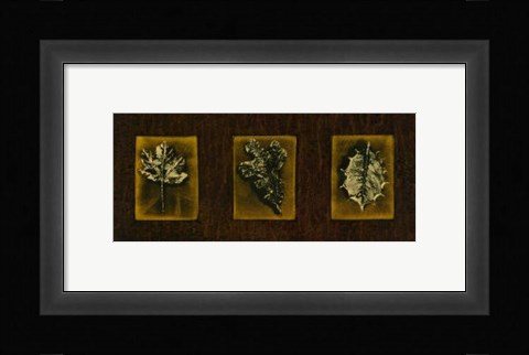 Framed Block Leaf Panel II Print