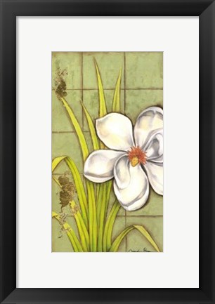 Framed Sugar Magnolia (P) I Print