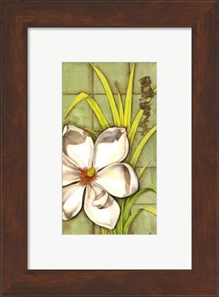 Framed Sugar Magnolia (P) II Print