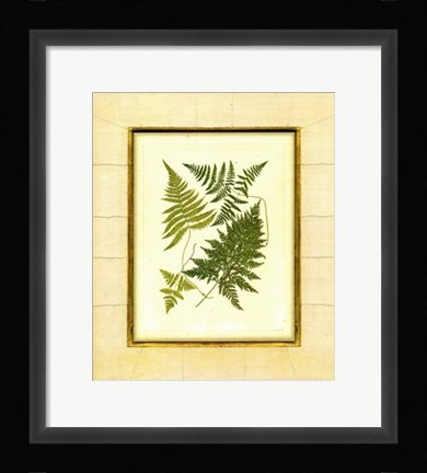 Framed Fern with Crackle Mat  I Print