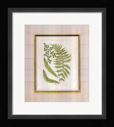 Framed Fern with Crackle Mat (H) II Print