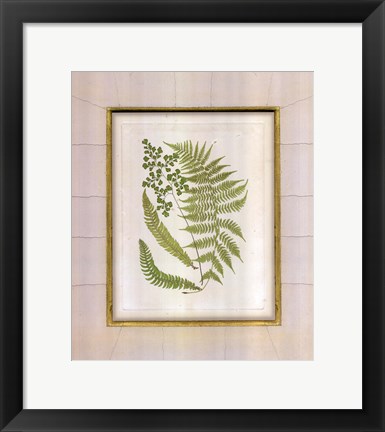 Framed Fern with Crackle Mat (H) II Print