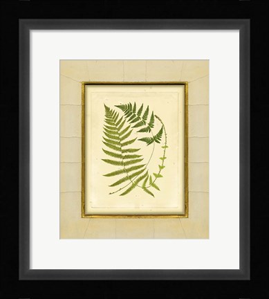 Framed Fern with Crackle Mat (H) III Print