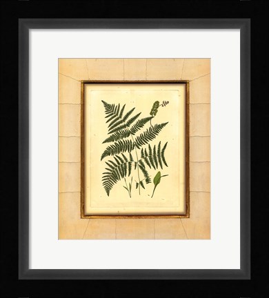 Framed Fern with Crackle Mat (H) IV Print