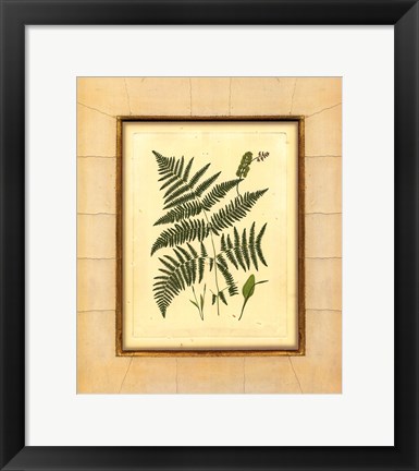 Framed Fern with Crackle Mat (H) IV Print