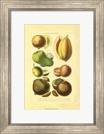 Framed Fruits and Nuts I Print