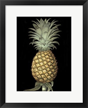 Framed Brookshaw's Exotic Pineapple I Print