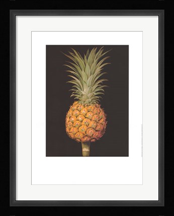 Framed Brookshaw's Exotic Pineapple II Print
