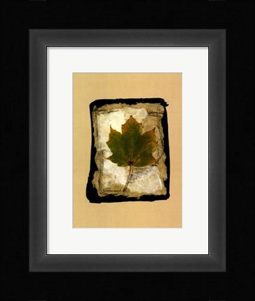 Framed Kyoto Leaves V Print