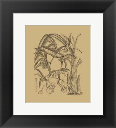 Framed Orchid on Khaki(WG) I Print