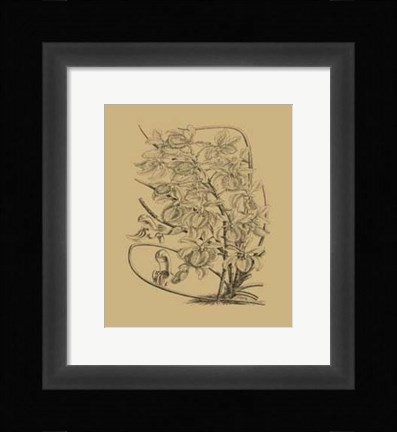 Framed Orchid on Khaki(WG) VI Print
