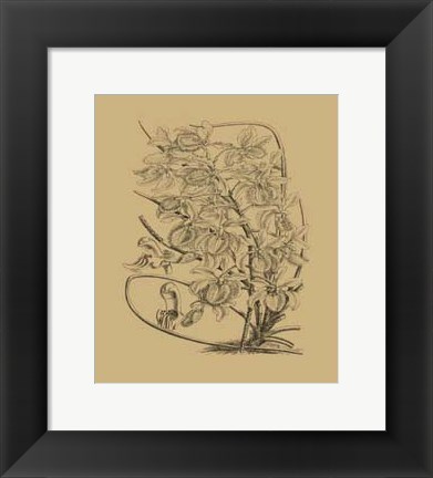 Framed Orchid on Khaki(WG) VI Print