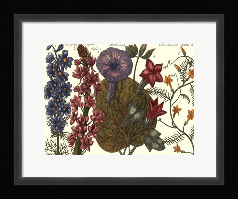 Framed Printed Arena Botanical IV Print