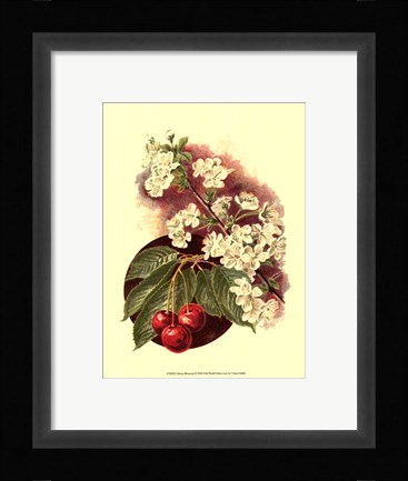 Framed Cherry Blossom Print